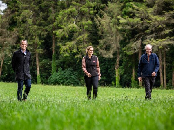 Three people walking in grass field