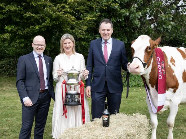 baileys-cow-24-1920-x-1274