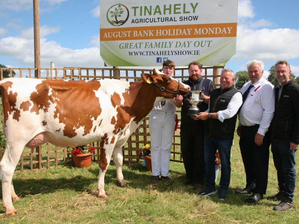 smaller-web-banner-sponsorship